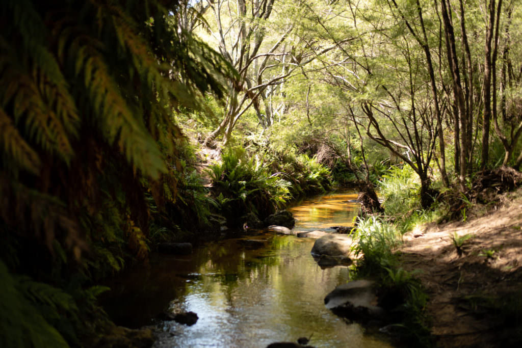 cours photo, atelier photo, balade photo, cours photo Nantes, cours photos pornic, cours photo Vendée, atelier photo Nantes, atelier photo pornic