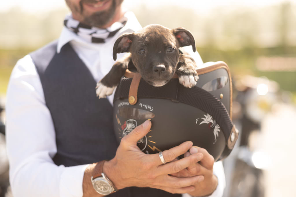 moto, photo d'art, café rider, réservoir, café rider hors série, photographe Nantes, photographe moto, photographe café rider, photographe